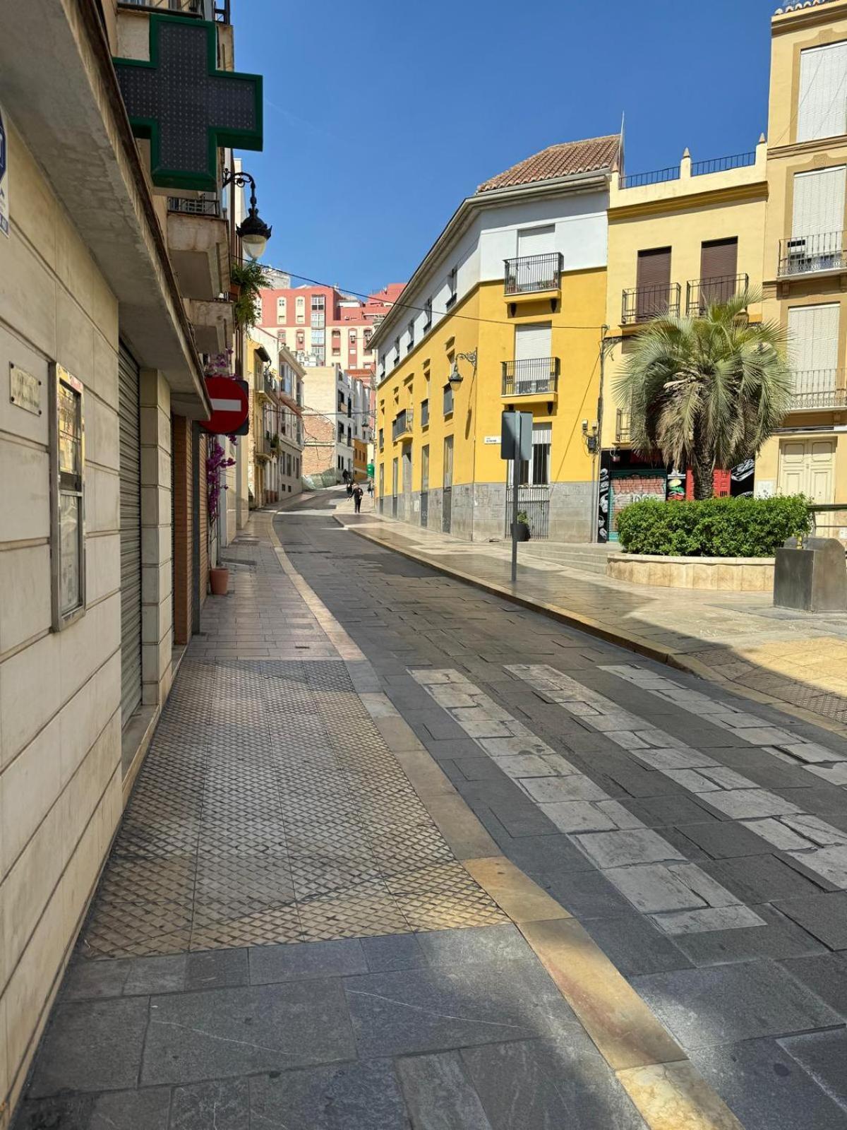 Centric Elegant & Private Terrace Málaga